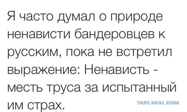 Ровно 4 года