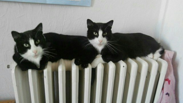 25 фотографий, на которых не всё так просто, как кажется...