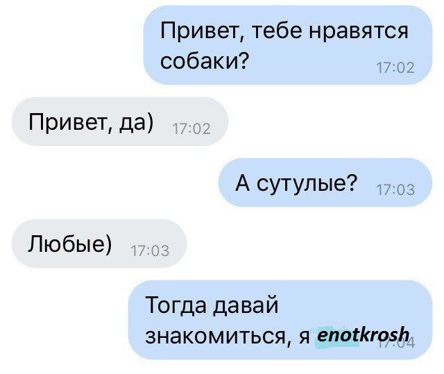 Беседка ФиС ЯПа 6
