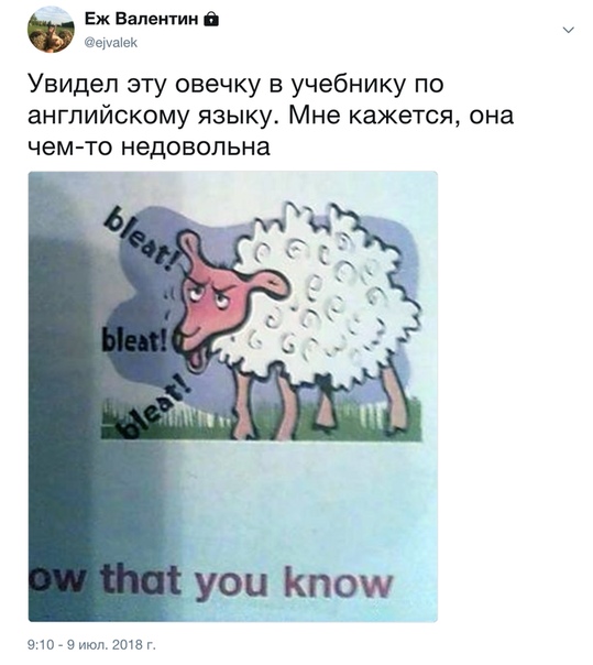 Нестандартный юмор