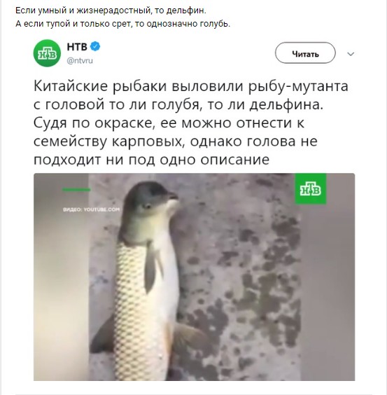 Смешные комментарии из социальных сетей 13.07.2018