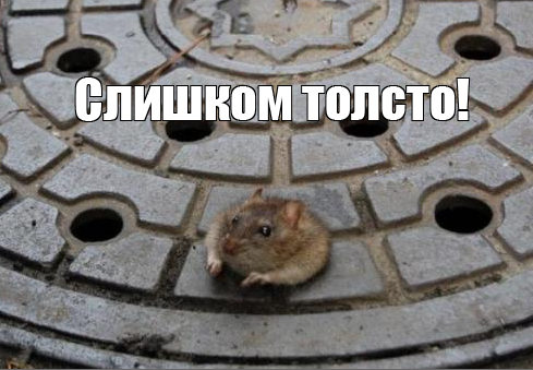 "Тонко" оскорбил Якубовича