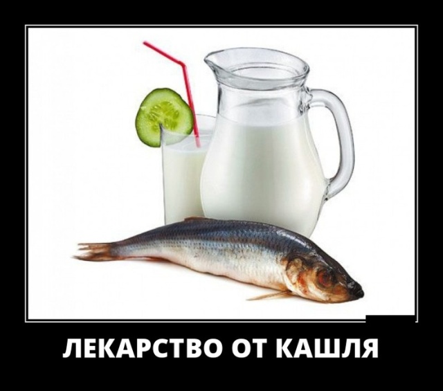 Картинки с надписями, истории и анекдоты