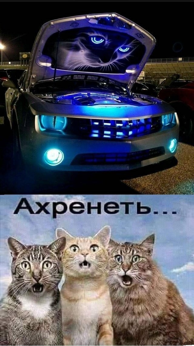 Картинки на вечер