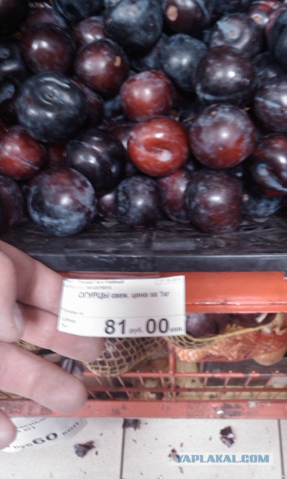 Месть Джона Гальяно