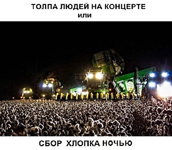 Чуток картинок 07.02.20.
