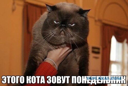 Этот взгляд