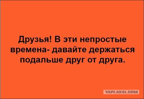 Чуток картинок. Субботний выпуск