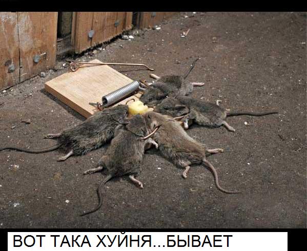 17/11/2008 по просьбам трудящихся