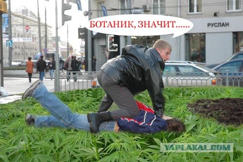 Фотожаба: гоп-стоп