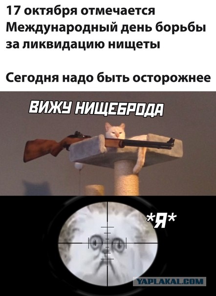Юмор в картинках 18.10.20