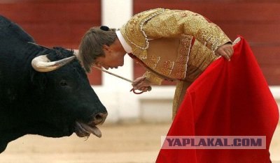 Робошторка - для тех, кто живет на первом этаже