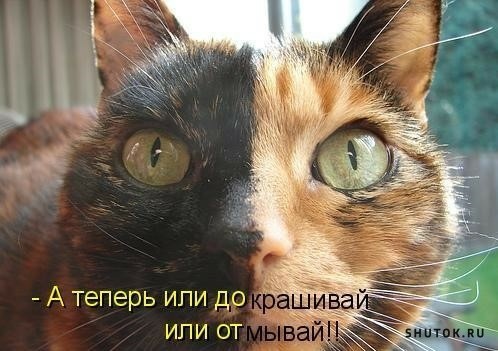 Ржачные мемчики - Часть 1