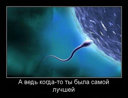 Обращение к админам краба