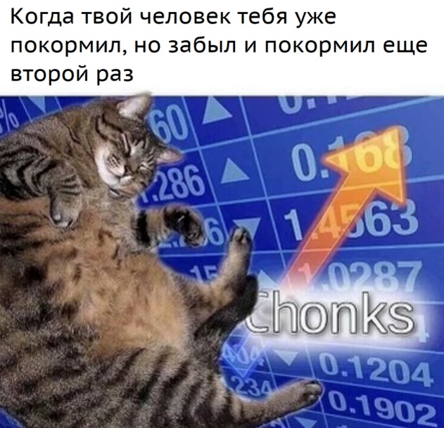 Так себе картинки 28.08.21