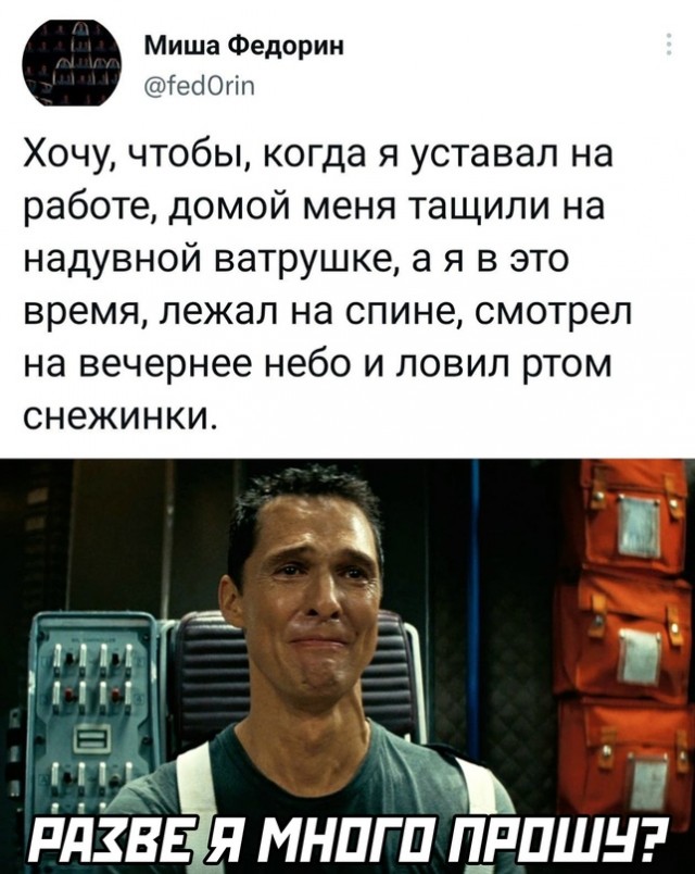 Весёлый полтишок 23.11