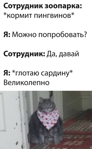 Картинки и мемы всем прекрасных выходных