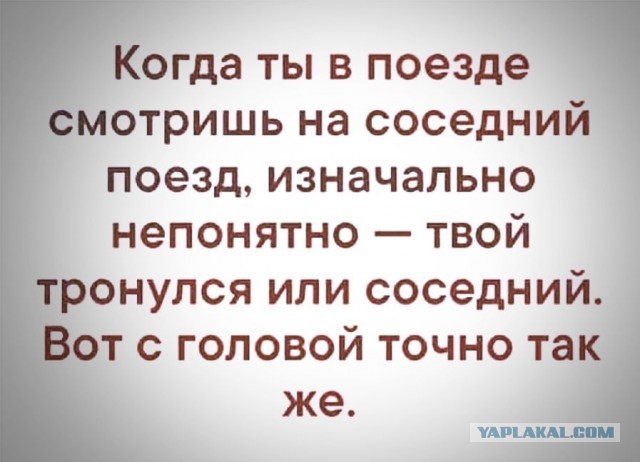 Чуток картинок 22.12.21
