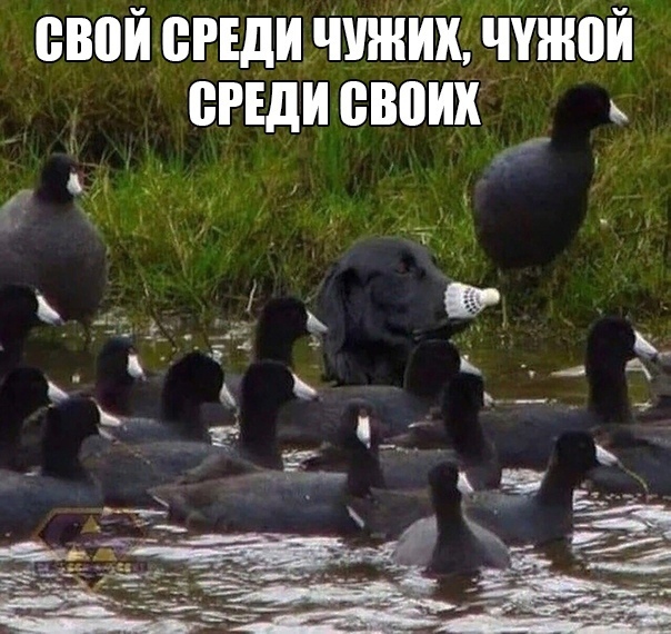 Так себе картинки 12.05.22