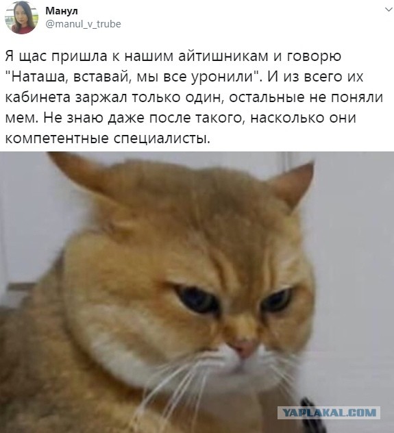 Картинки и мемы - "Жить, как говорится, хорошо..."