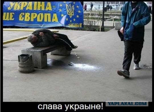 Убывци москалей! Ожидания и реальность!