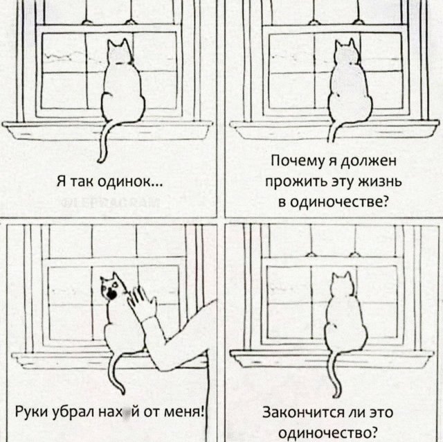 Немного картинок для настроения - 114
