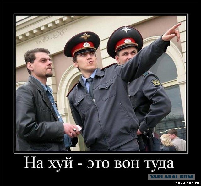 А как вы спите с котиком?