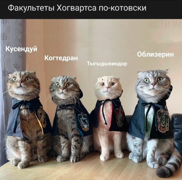 Так себе картинки 30.10.22