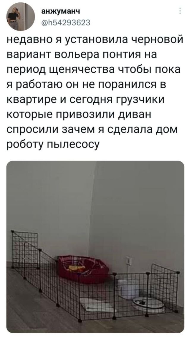 Картинки и мемы для настроения - 133