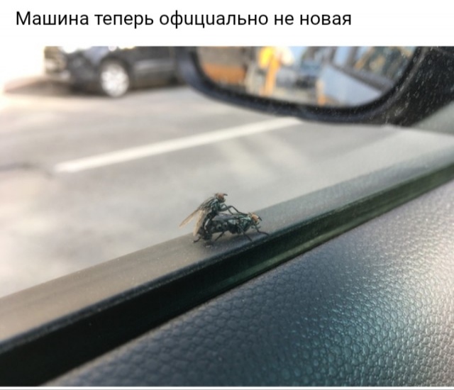 Правый руль