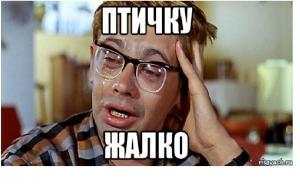 Сокол очень быстрый