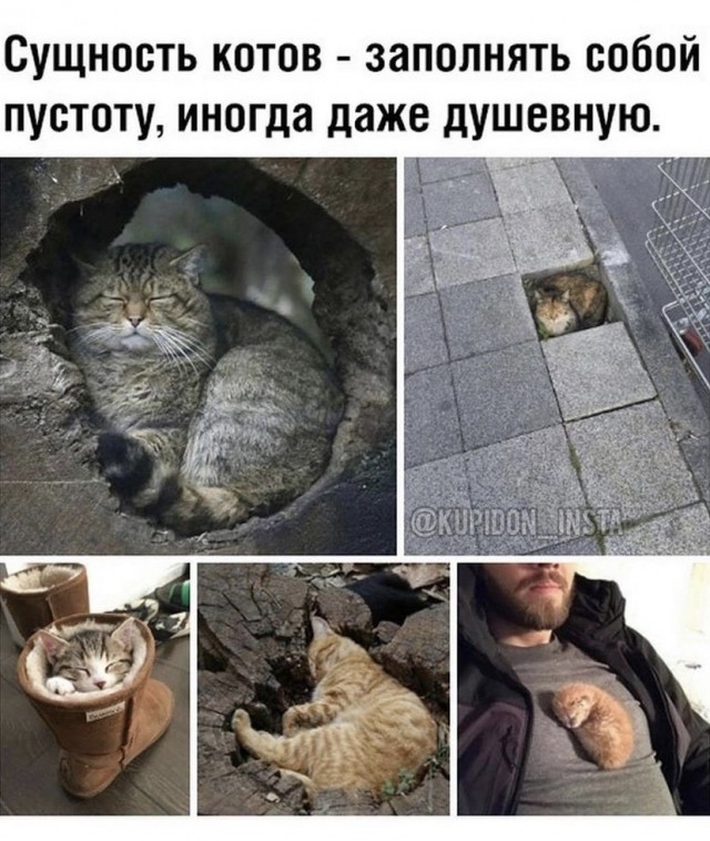 Картинки и мемы, всем хороших выходных
