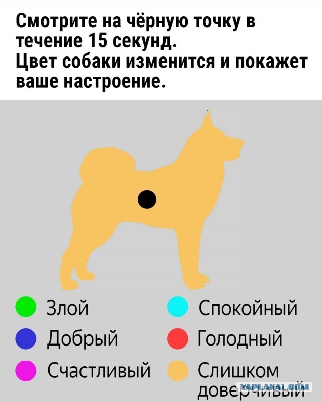Нуштош 29.03.2023