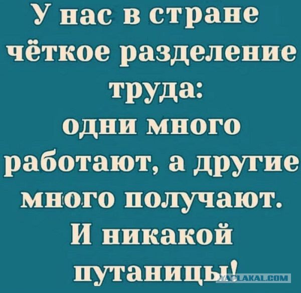 Не хотят работать за 3 копейки, совсем оборзели!