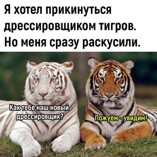 Картинки и мемы, всяко разно - 171