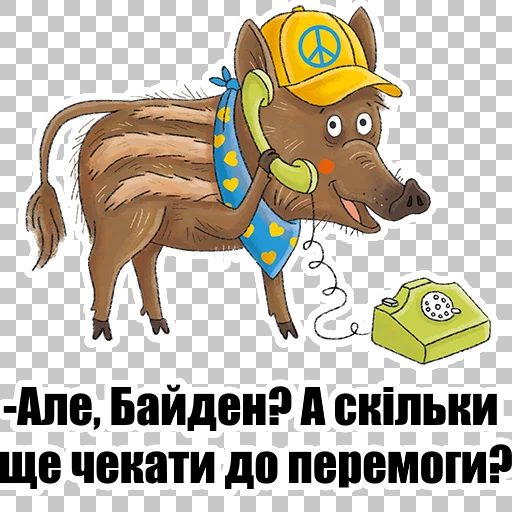 Польские добровольцы, утверждают, что участвовали в нападении на Белгородскую область