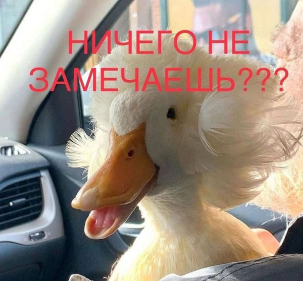 Лето. Пятница. Картинко