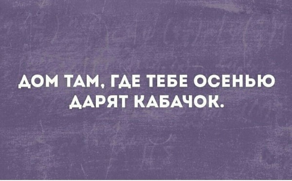 Страдания по кабачкам