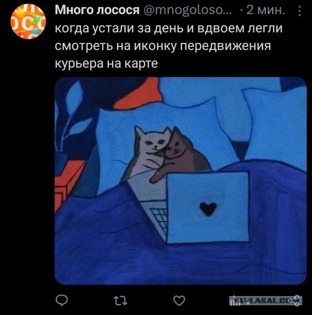 Голодный курьер