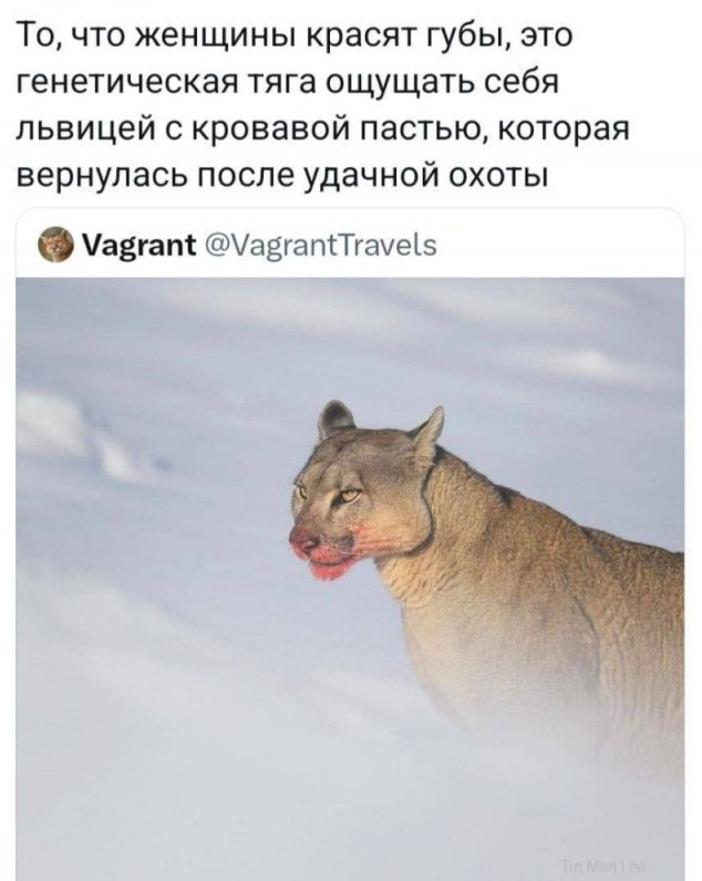 Тлидцать тли от 13 февлаля