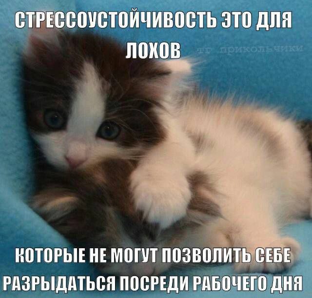 Всего понемногу. От 27.02.24
