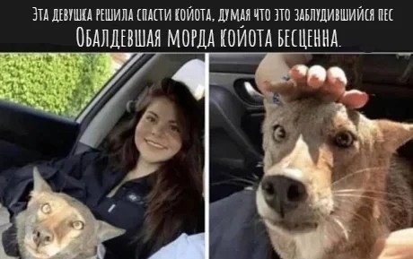 Судьбоносная встреча