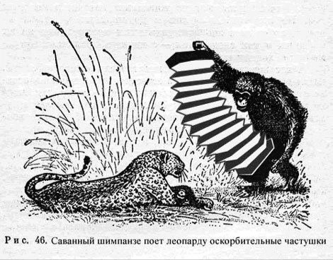 Завалялось тут случайно немного забавных картинок