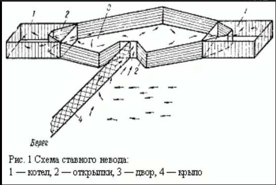 Непонятная хрень