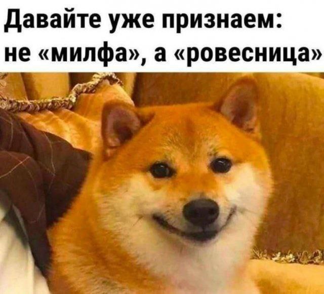 Всего понемногу. От 22.07.24