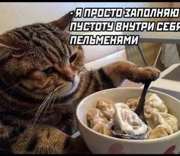 Всемирный день пельменя