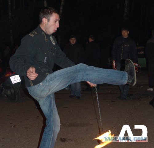 Дикие фото из социальных сетей