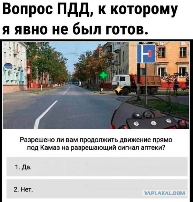 Веселые картинки в пятницу (30.05)