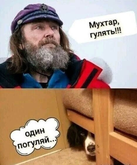 «Я с детства мечтал жить на острове» — Фёдор Конюхов поселился в Антарктиде