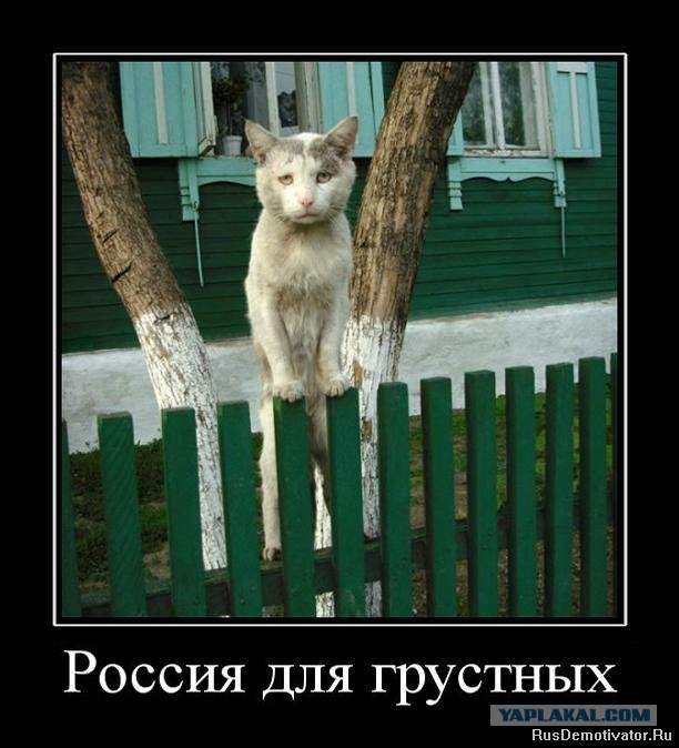 Двор, в котором я живу